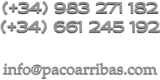(+34) 983 271 182 (+34) 661 245 192 info@pacoarribas.com